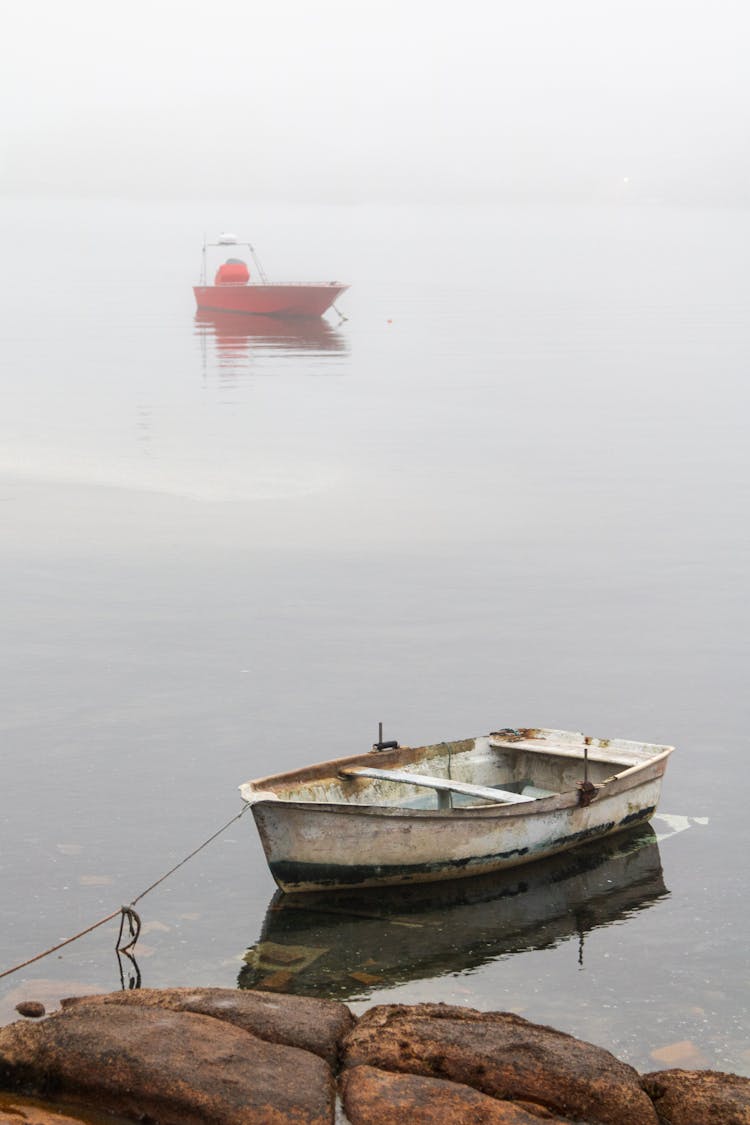 Lake In Fog