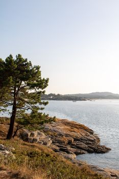 Beautiful coastal landscape in Meloxo, Galicia, Spain with rocky shore and conifer tree.