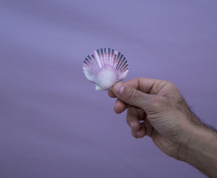 Man Holding Seashell