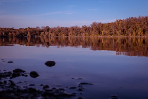 açık hava, göl, kahverengi ağaçlar içeren Ücretsiz stok fotoğraf
