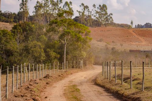 Free Serene landscape with a dirt road and fence in rural countryside, surrounded by trees and farmland. Stock Photo
