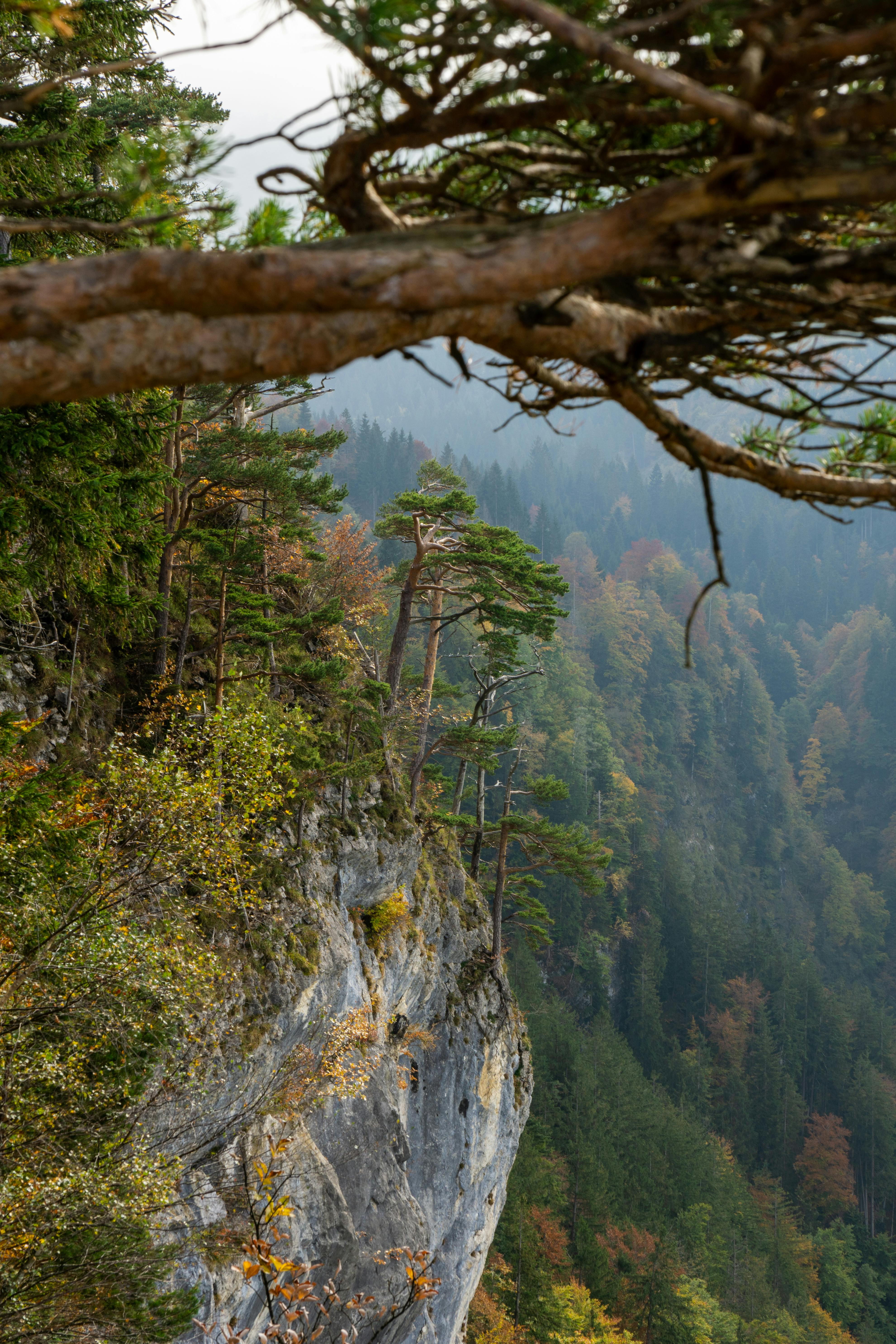 Vertical Rock Formation · Free Stock Photo