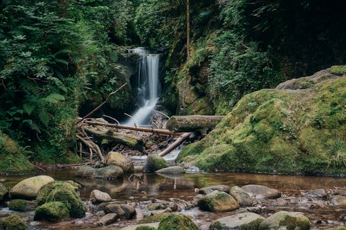 Mossy Rocks Near Waterfalls