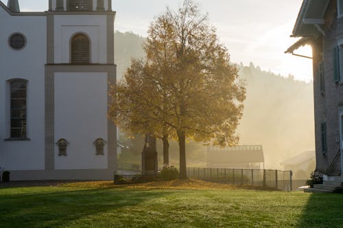 Chapel and Trees in Autumn Foliage at Dawn