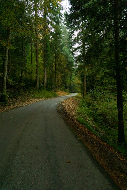 Kostenloses Stock Foto zu außerorts, draußen, fußweg