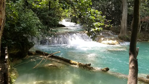 Fotobanka s bezplatnými fotkami na tému chiapas, jazero, kaskáda