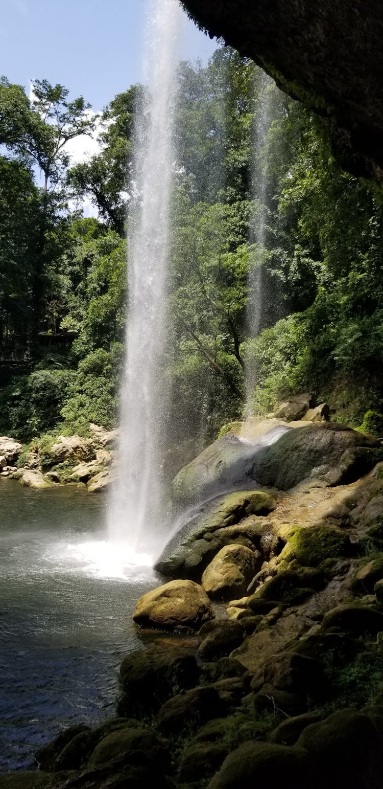 Water Falling On The Stream Near Green Trees