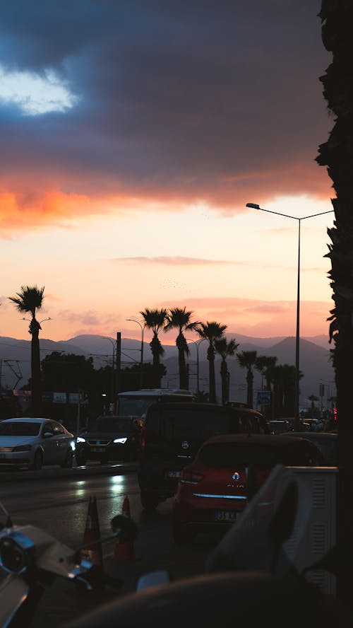 Cars on the Road during Sunset