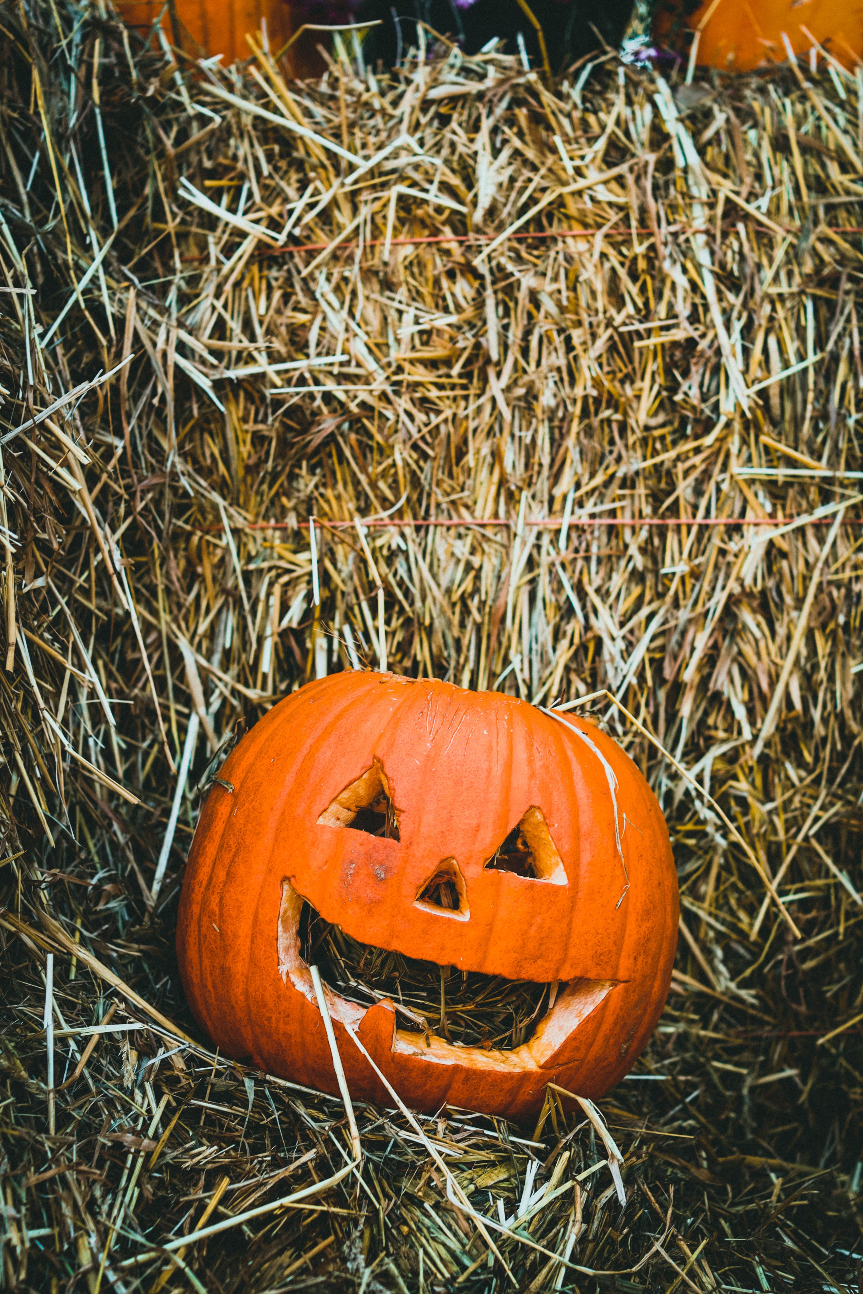 tanggal Halloween 2026 dengan dekorasi jack-o-lantern