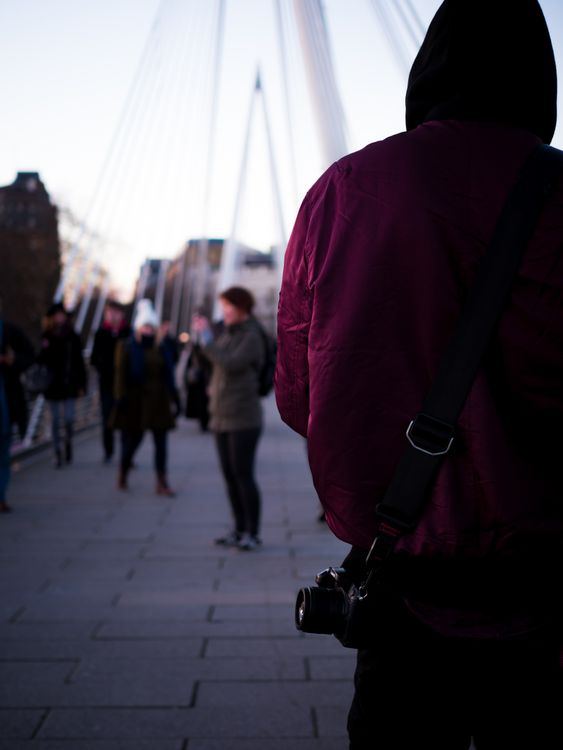 Photographer Back Back View of Photographer · Free Stock Photo