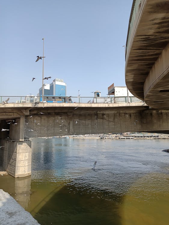 Free stock photo of 1 wtc, 15 july martyrs bridge, 1th july