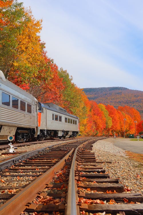 가을, 기차, 다채로운의 무료 스톡 사진