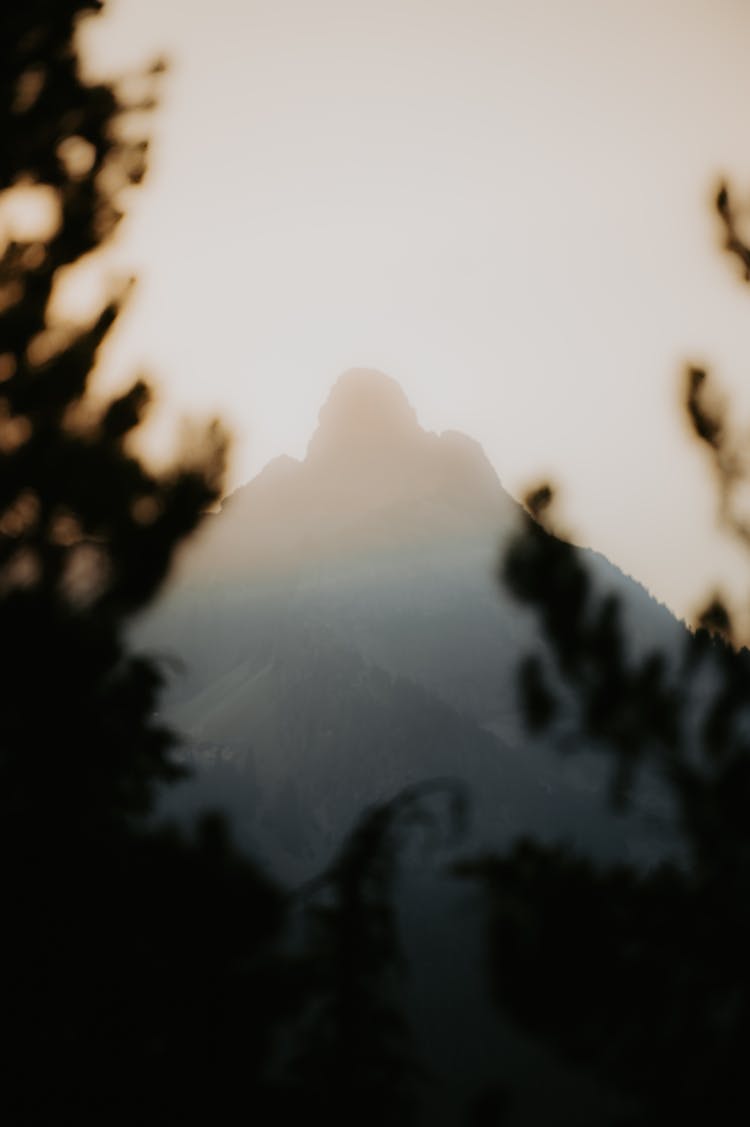 Scenic View Of The Foggy Mountains