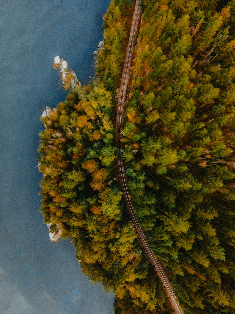 Aerial View Of Lakeshore Railway Tracks