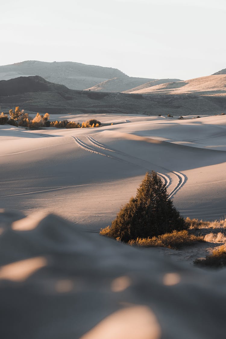 Landscape Of A Desert 