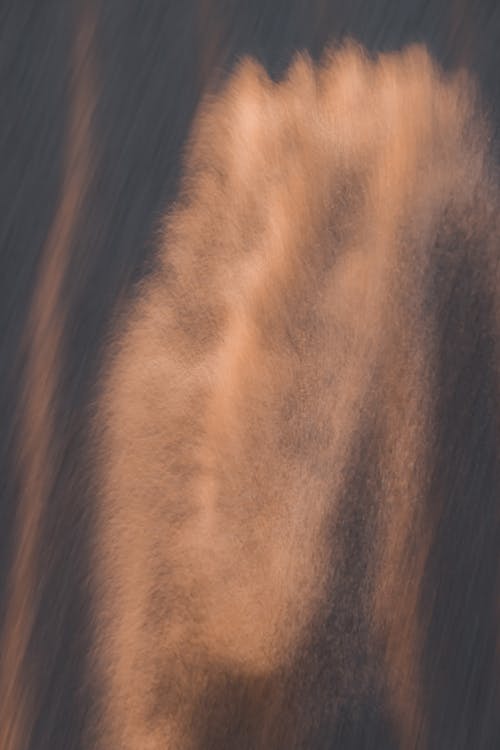 Бесплатное стоковое фото с абстрактный, вертикальный выстрел, коричневый