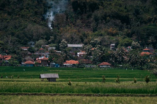 Fotobanka s bezplatnými fotkami na tému horská dedina, Indonézia, krajina
