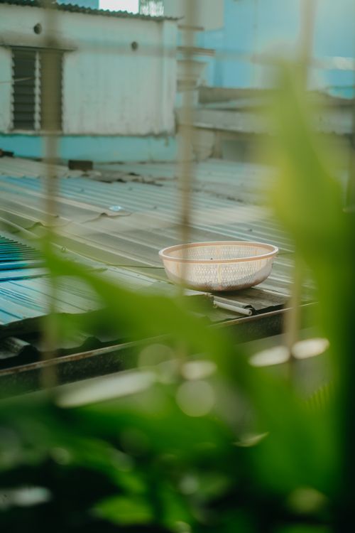 Free A colander sits on a corrugated rooftop amidst urban buildings and lush green plants. Stock Photo
