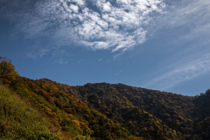 단풍 여행 완벽 가이드: 전국 단풍 명소와 절정 시기, 알찬 여행 계획