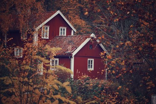 Free Idyllic red wooden house surrounded by autumn foliage in a Swedish forest setting. Stock Photo