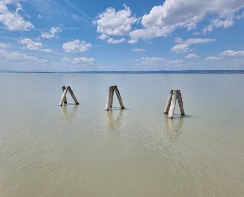 Wooden Posts on Beach