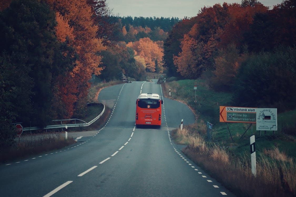 Red Bus on the Road · Free Stock Photo