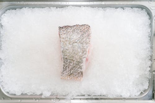 Abstract Photo of a Portion Salmon in an Ice Container