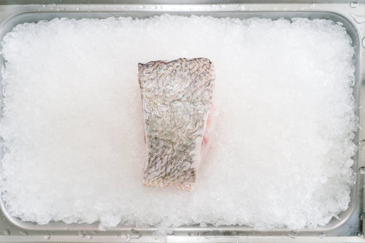 Abstract Photo Of A Portion Salmon In An Ice Container