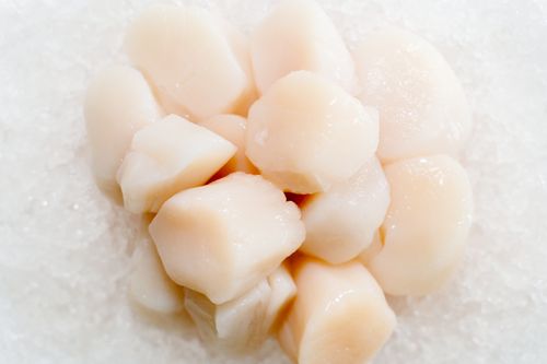 Free Close-up of fresh scallops on ice showcasing texture and freshness, ideal for culinary use. Stock Photo