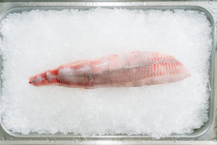 Fish Fillet In Ice 