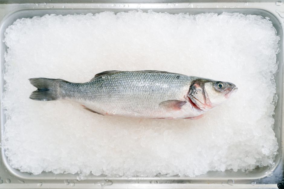 Pan-Fried Sea Bass with Tomato Caper Sauce