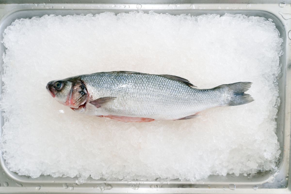 Branzino al Sale