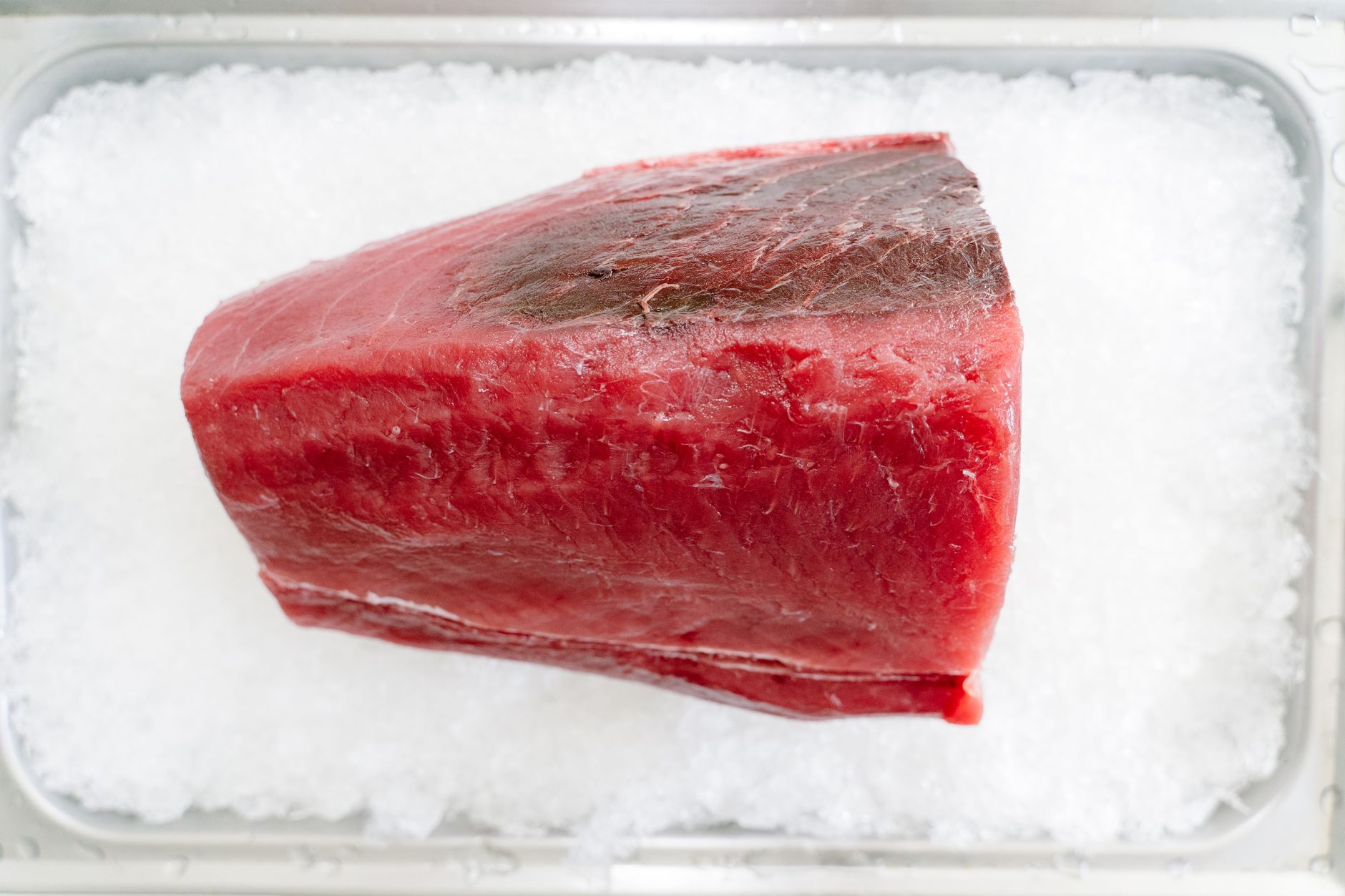 Dorong Ekonomi Lokal, KNMP Tongke-Tongke Kirim 77 Ton Tuna Loin ke Jakarta
