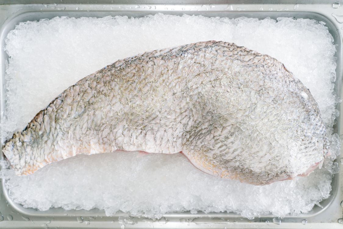 Rectangular Frozen Fish Close up of Frozen Fish · Free Stock Photo