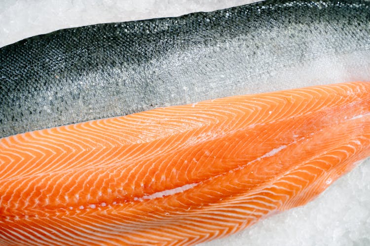 Fillet Of Salmon On Ice