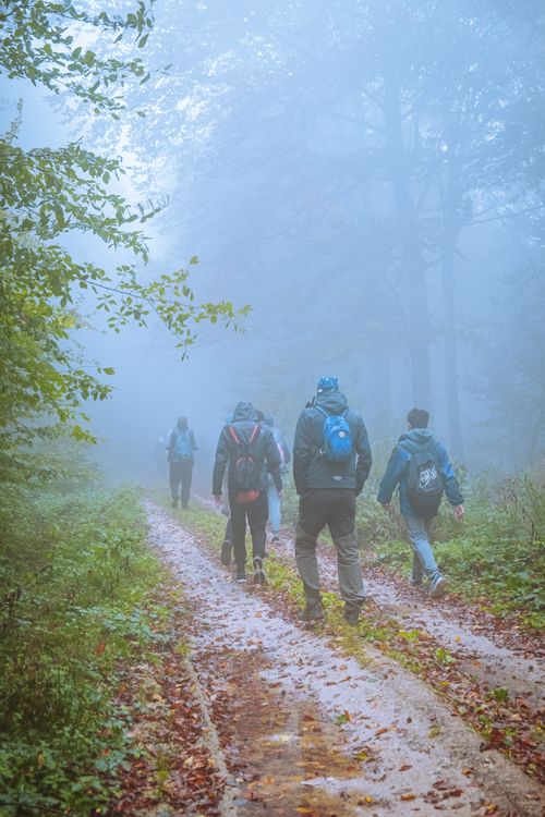 Free Group of hikers navigating a misty forest path, creating a serene and adventurous atmosphere. Stock Photo