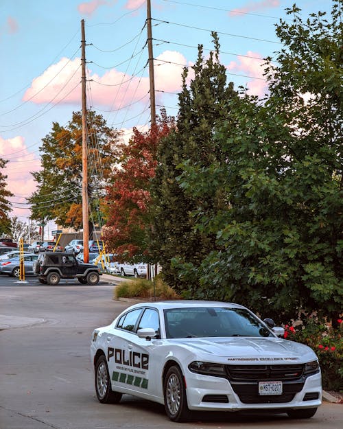 Základová fotografie zdarma na téma auto, automobilový, policie