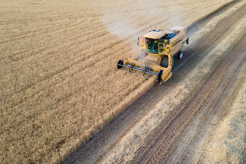 Yellow and Black Truck on Brown Field