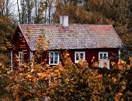 Wooden House in Autumn