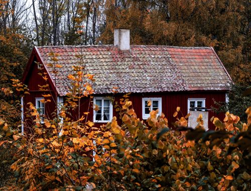 Free Red wooden cabin surrounded by vibrant autumn leaves in a rural countryside setting. Stock Photo