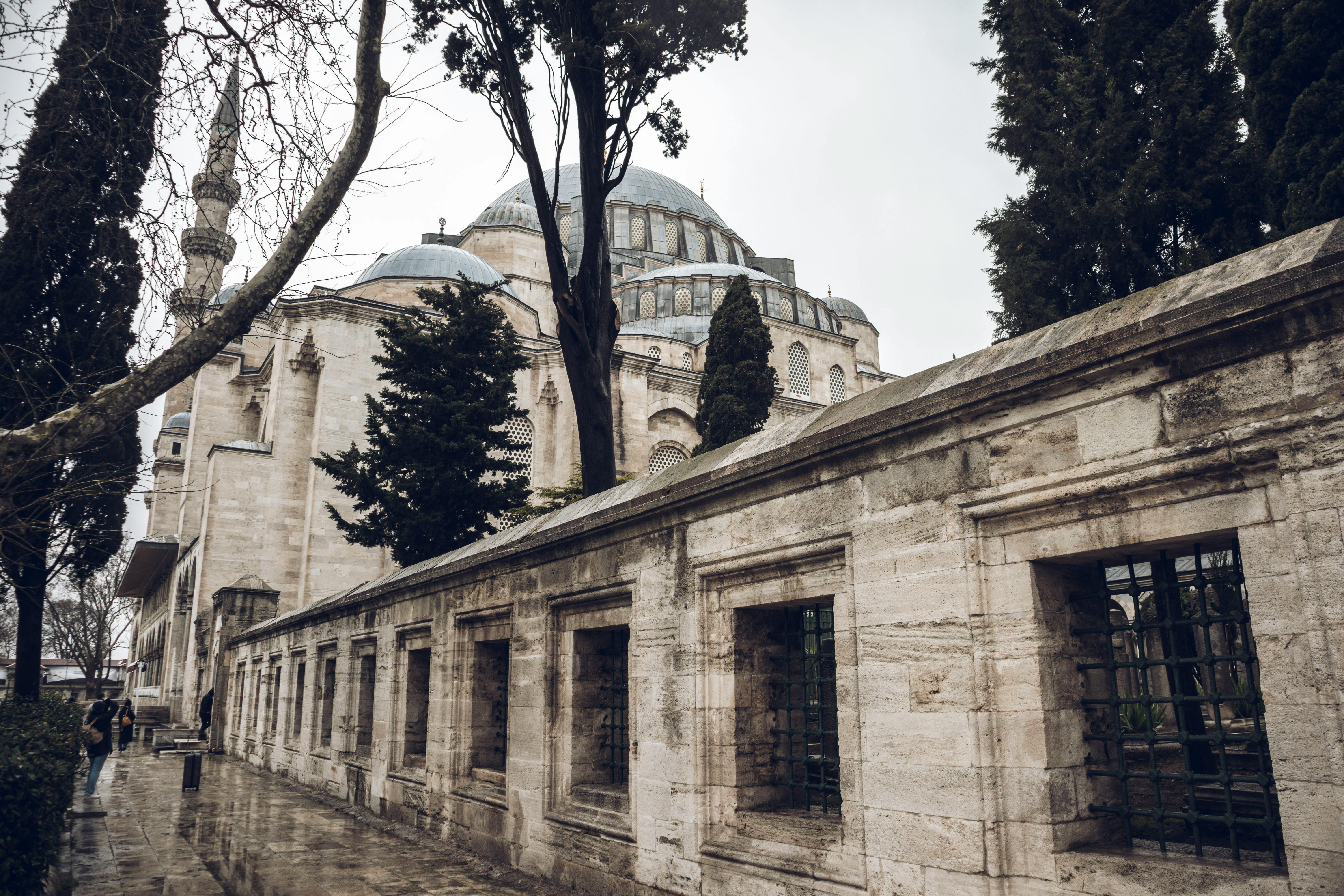 What is the most famous social media?