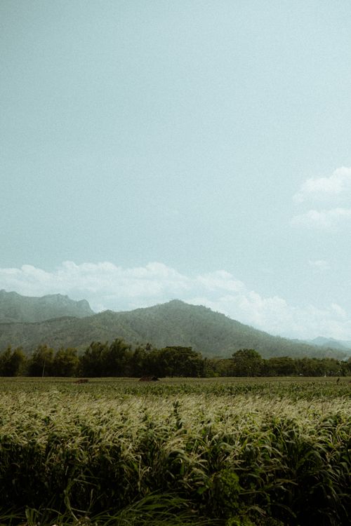Free Peaceful agricultural field with mountains and blue sky, perfect for nature enthusiasts. Stock Photo