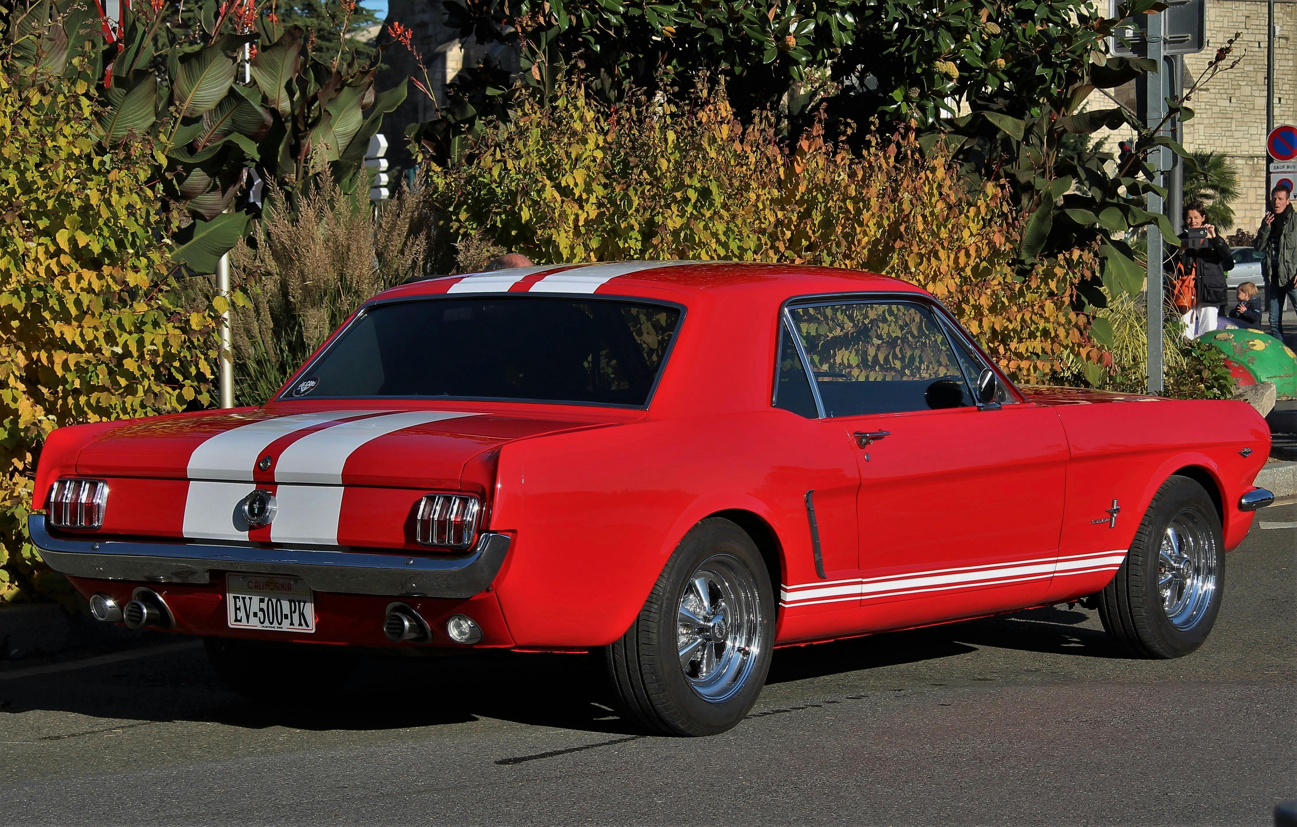 Free Classic red Ford Mustang parked outdoors amidst foliage. Stock Photo