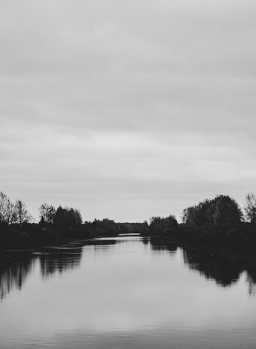 Imagine de stoc gratuită din alb-negru, apă curgătoare, fotografiere verticală