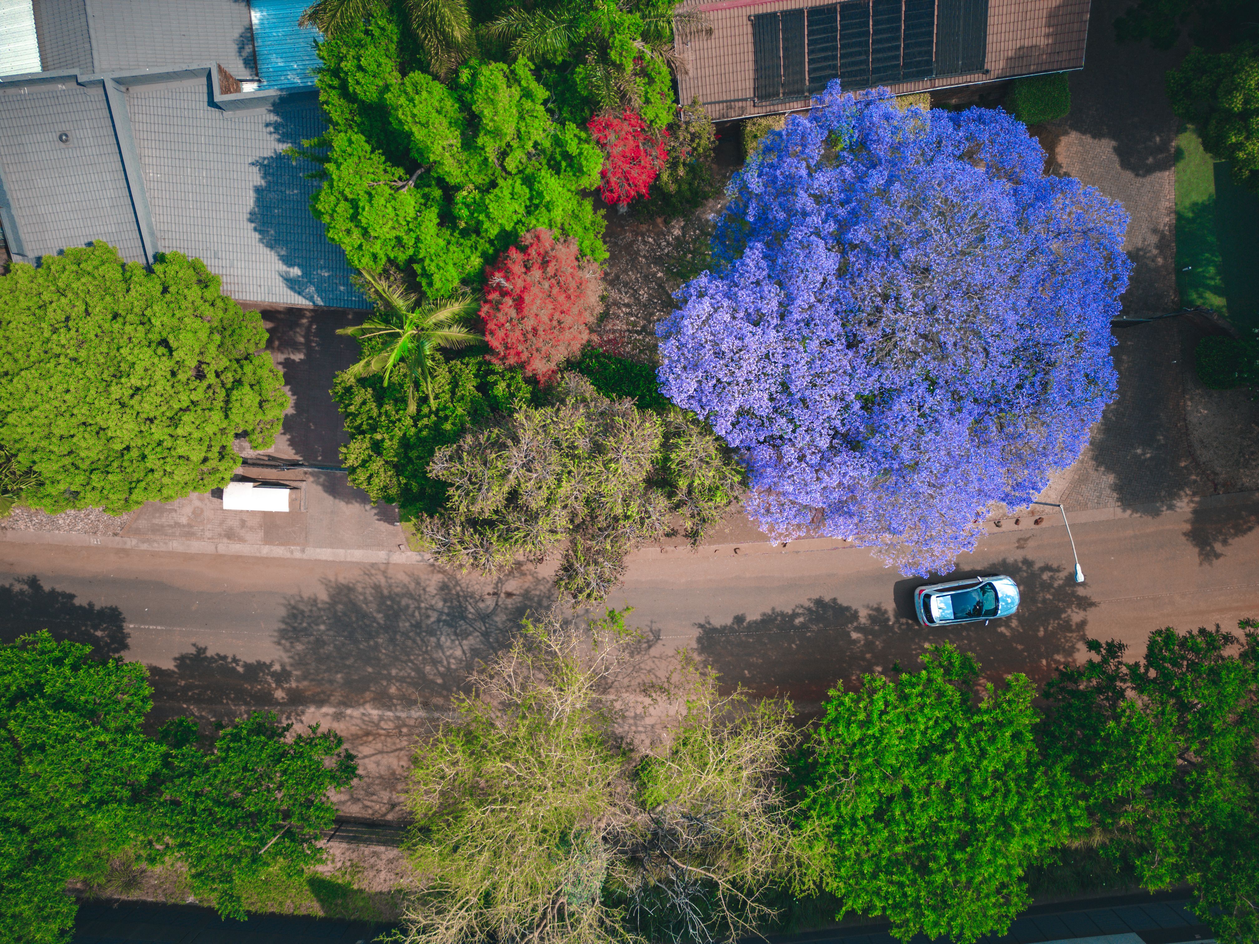 Investir Pretoria : guide immobilier pour investisseurs étrangers