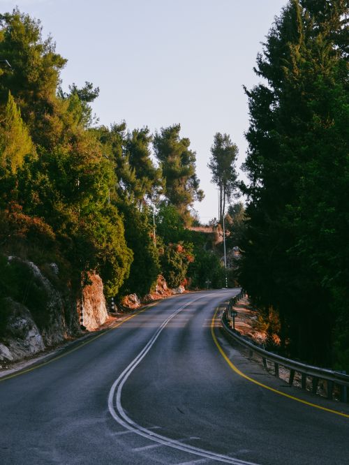 Free A quiet winding road surrounded by lush green trees, perfect for a peaceful drive. Stock Photo