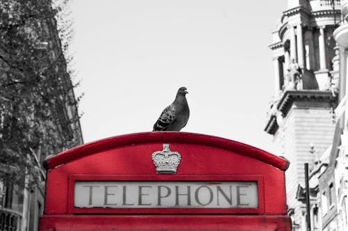 Foto d'estoc gratuïta de Londres, Regne Unit