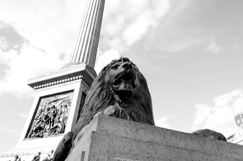 Foto d'estoc gratuïta de trafalgar square