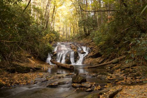 Free Tranquil waterfall in autumn forest, near Cleveland, Georgia, showcasing colorful foliage and natural beauty. Stock Photo