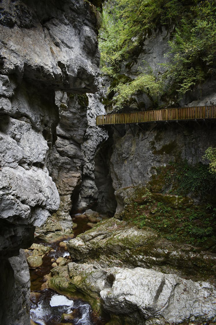 Creek In Canyon